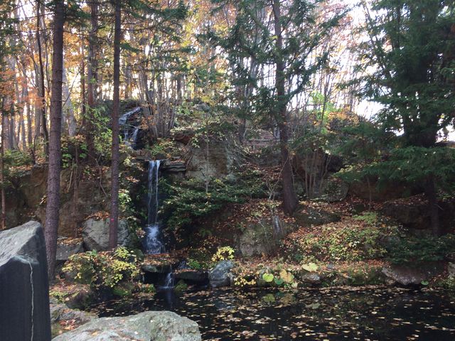 �����̑�B_�g�N����