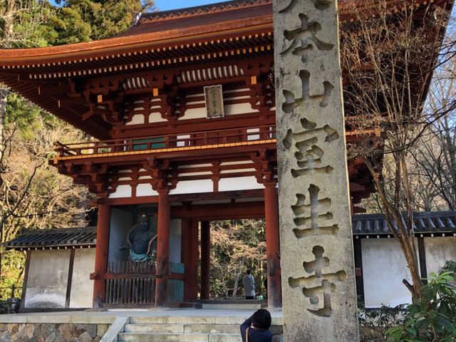 ���̎R��_��ʍ��c�@�l�ޗǌ��r�W�^�[�Y�r���[���[