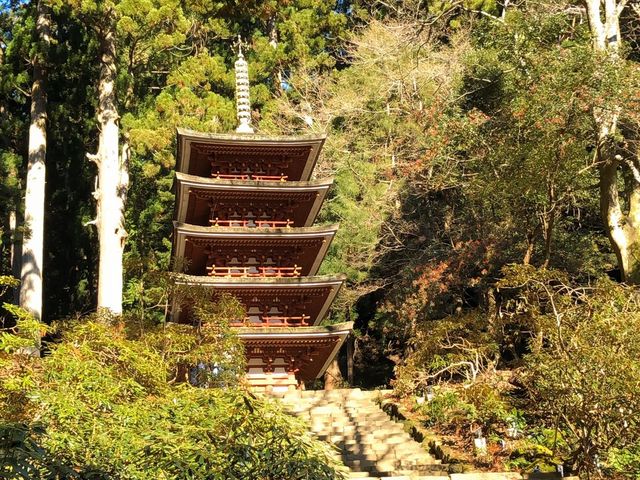 �L���Ȍ܏d��_��ʍ��c�@�l�ޗǌ��r�W�^�[�Y�r���[���[