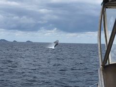 ĂĂ邳̃JCU[}Nuւ̓eʐ^1