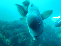 喂_̈ɓ_CrOXN[ gbcւ̓eʐ^1