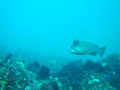 喂_̈ɓ_CrOXN[ gbcւ̓eʐ^2