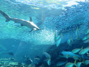 yosshy̋\㓇يC̓eʐ^7