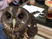 ܂񂳂̂ӂ낤JtFn̓eʐ^1