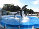 yosshyさんの九十九島水族館海きららへの投稿写真2