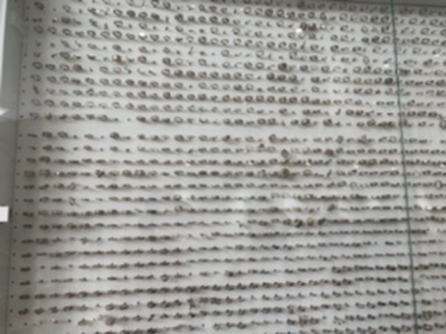 �ǖʂɖc��Ȏw�ւ̃����O���f�B�X�v���C����Ă܂��B_L&Co OpenFactory