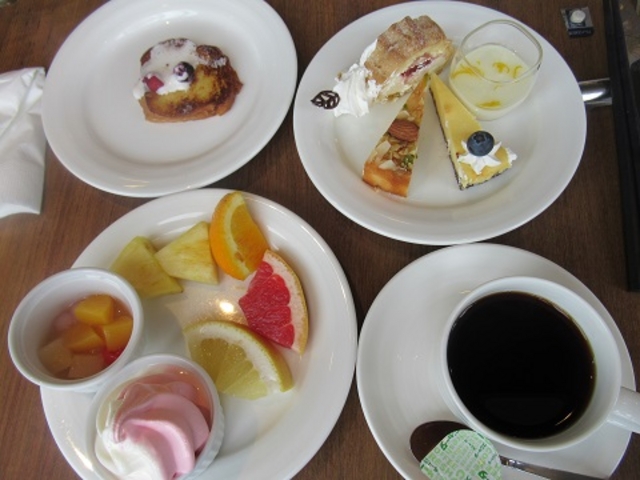 �r�I�i �f�U�[�g_�т�Α�Ãv�����X�z�e���@�i���@��Ãv�����X�z�e���j