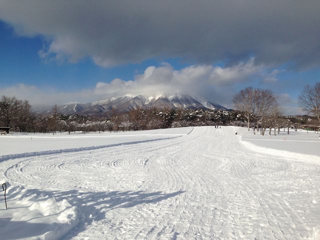 �_���������_�����_�ꂩ��̊��R