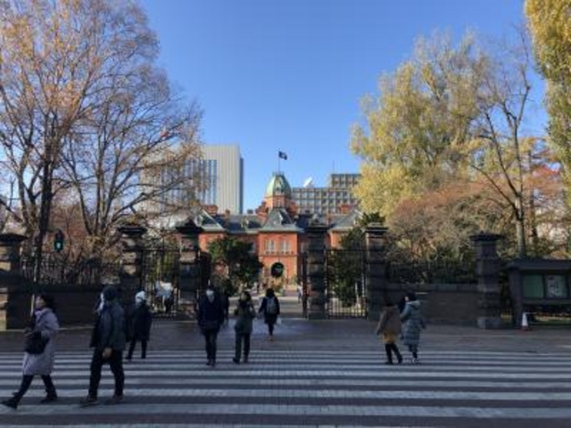 ����ł��܂��B_�k�C�������{����(�Ԃ�񂪒���)