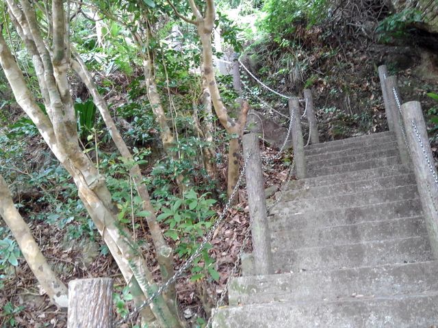 �R���܂ŋ}�ȊK�i������_�ɍ]��R