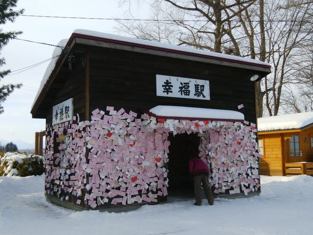 ���܂������̊ό��q�̐Ղł��B_�����w�E�K���w