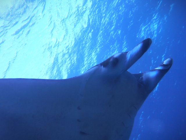 �}���^�I_mellow's