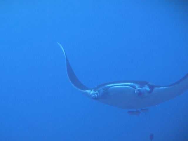 �}���^�I_mellow's