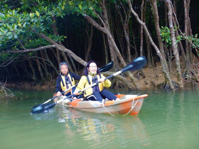 ���΂�̓�����ɂ�����q���M�т̃J�k�[�̌��ƂĂ�������܂��I_���΂�G�R�t�B�[���h�@����