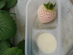 ͂邳̂Eu[x[_@x[̋ւ̓eʐ^1