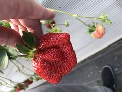 肳̕ct@[@x[ւ̓eʐ^1