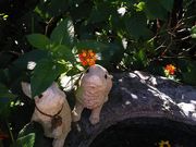 ݂ǂ肳̎O֐_Ђ̓eʐ^5