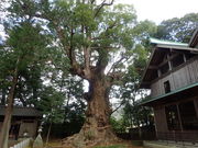 }Cann̗{_Ђ̑NX̓eʐ^1