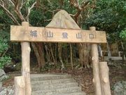 50̃Xm[{[h񂳂̈ɍ]R̓eʐ^2