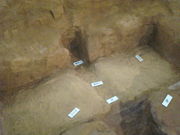 ̂䂫̓쑊nsق̓eʐ^1