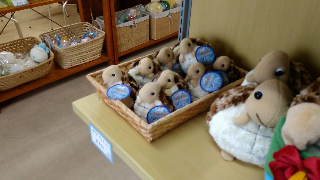 浜松市南区の動物園 植物園ランキングtop1 じゃらんnet