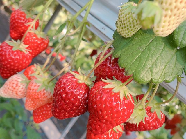 �傫�����������������񂠂�܂����B_�x�ÃA�N�A�t�@�[��