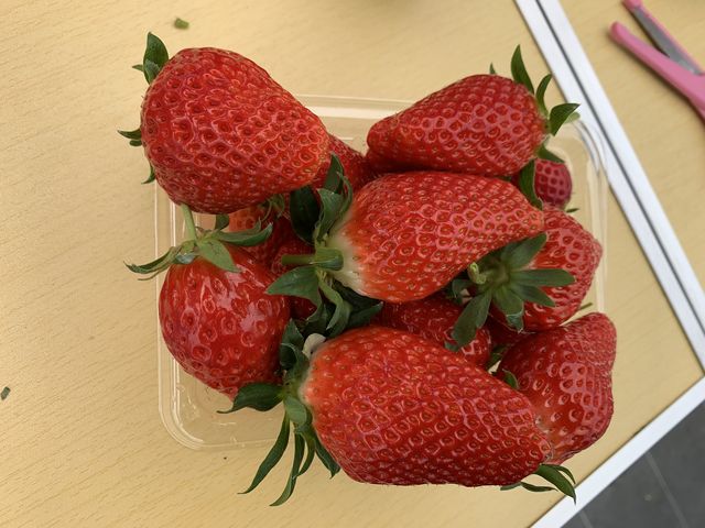 �Â��đ傫���Ĕ�������䕁I_���邢������