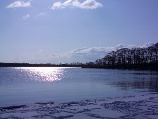 �Ϗ��q�E�g�i�C�΁@�~�̌΂��Y��ł��~�̃E�g�i�C�΃I�X�X���ł�_���̉w �E�g�i�C��