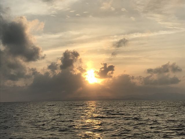 �_������ق�ł����A����Ȓ��r���[�ȃT���Z�b�g���I�c�ł�_mellow's