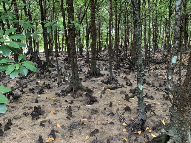 㔼́A߃}O[uтɏ㗤܂B_OHCUSΊ_