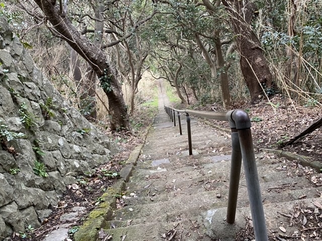 �S���j��̊K�i_��Ԑ_��