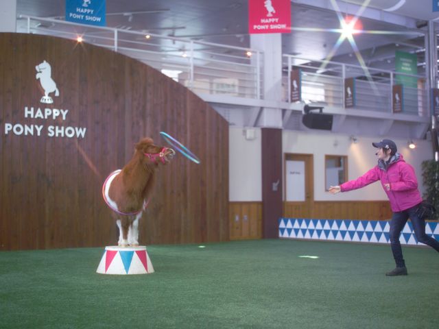 �Ϗ��q�m�[�U���z�[�X�p�[�N_�m�[�U���z�[�X�p�[�N