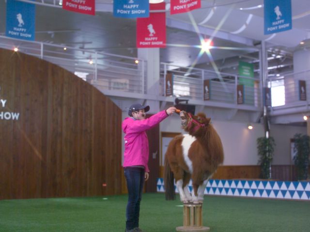 �|�j�[�V���[_�m�[�U���z�[�X�p�[�N