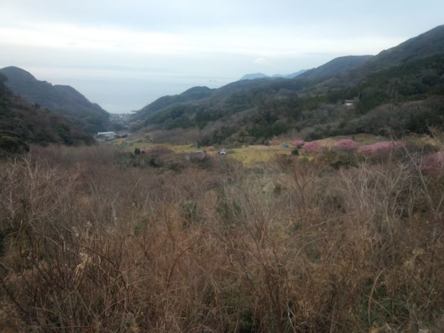 �W�]�䂩��̕��i_�Ε��̒I�c �W�]��