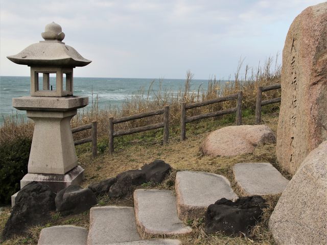 Ƃ񂳂̐l˓`̔̓eʐ^3