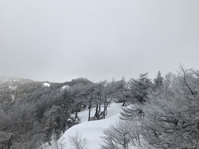 n̂悤ȌiρBX^[g1Ԃ͉_ɕĂA͂ŌB_mR