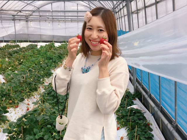 䕂͂������H�ׂ鎖���ł��܂����B_�V��̂���������ʐ^�� �܂邩����