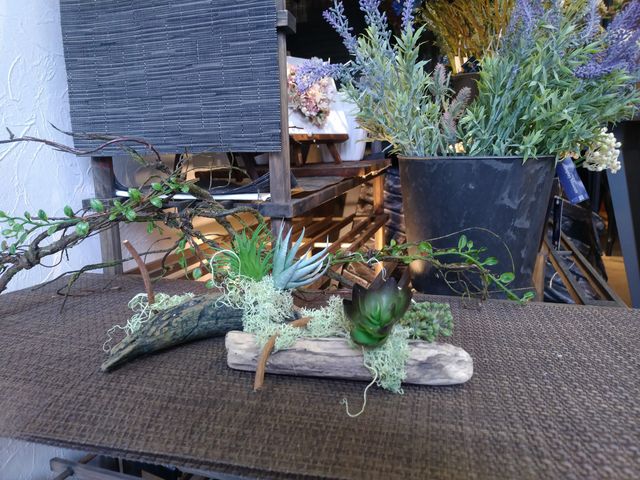 �嗱�̃O���[���͑��ԁA����ȊO�͓V�R�ł��B_�N�v���A�Ԃ͔��΂�