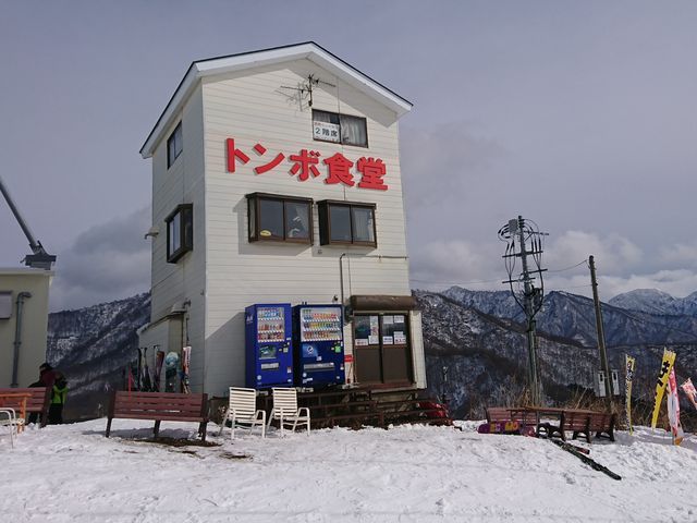 ��������_�⌴