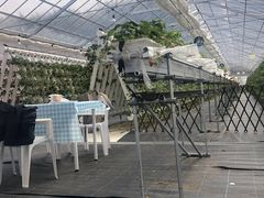 Eitoku Farm  y舤`Ƃȁ`z̎ʐ^1