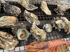 �ЂȂ�����̂Ђ낿���J�L�ւ̓��e�ʐ^1