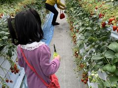 y̐V񂾔_ȉւ̓eʐ^1