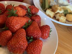 KO--̊ό_߂̂ւ̓eʐ^1