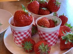 Hayashi̊ό_߂̂ւ̓eʐ^1