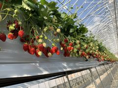 ͂炾̌ct@[ւ̓eʐ^1