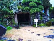 ˂񂳂̖{nJgbN̓eʐ^3