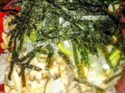 zin����̐[�슘���̓��e�ʐ^3