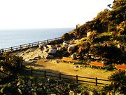 ˂񂳂̓s䖦̃\ecn̓eʐ^1