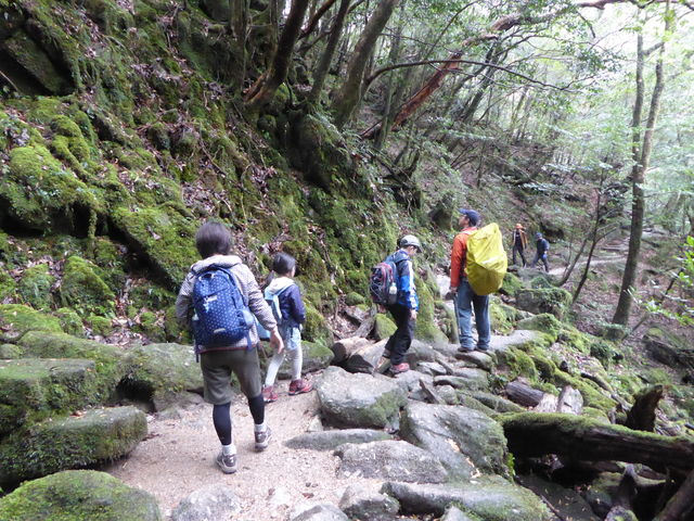 qǂ̃y[Xɍ킹ĐiłKChA肪Ƃ܂B_vKChNu