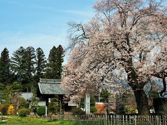 ɋvԂɍsƍJ(GhqK)ł_